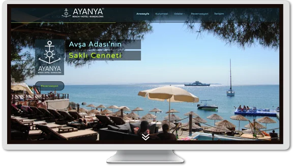 Web Tasarım ayanya