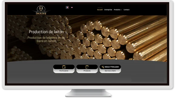 Web Tasarım imax